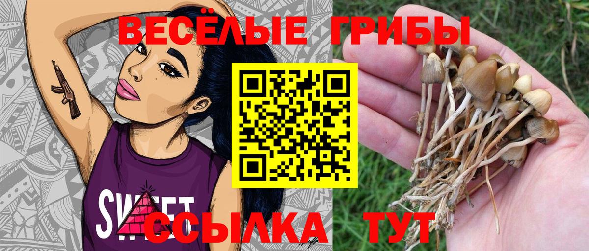 Галлюциногенные грибы прущие грибы  Вход с VPN  Кисловодск 