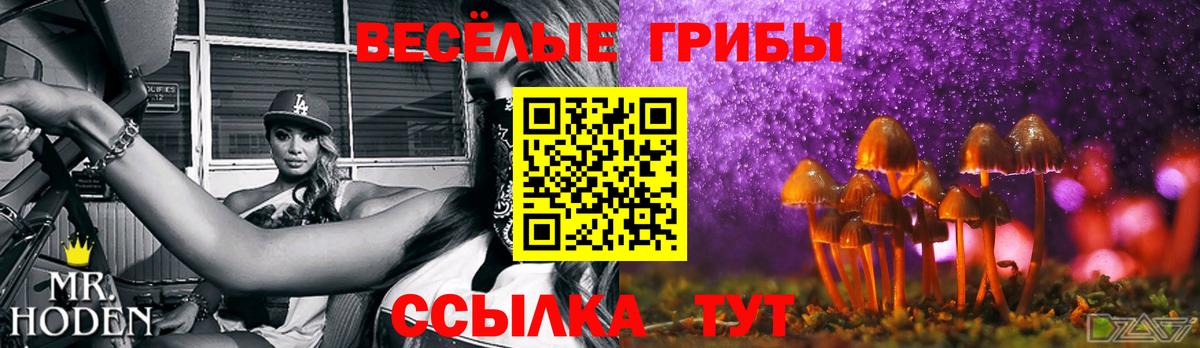 Псилоцибиновые грибы ЛСД Кисловодск